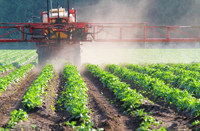 Glifosato: riesaminata la sicurezza dei livelli massimi di residui