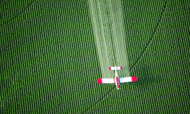Residui di pesticidi negli alimenti: com’è la situazione nell’UE?