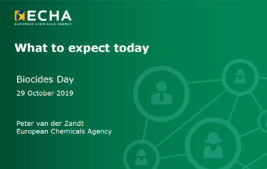 Slide e video della giornata biocidi di ECHA