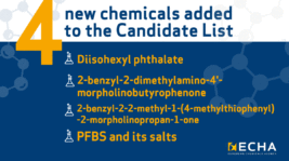 REACH: 4 nuove sostanze aggiunte alla Candidate List