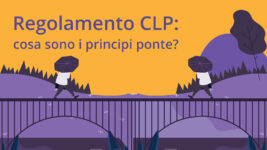 Regolamento CLP: cosa sono i principi ponte?
